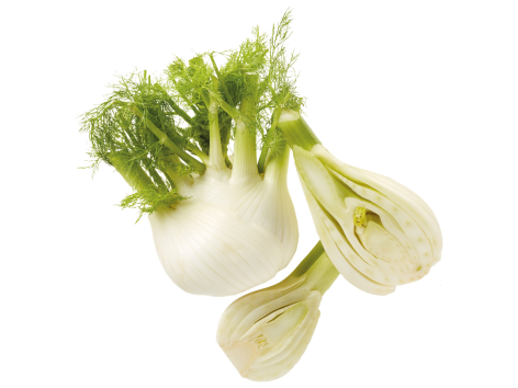 Finocchio