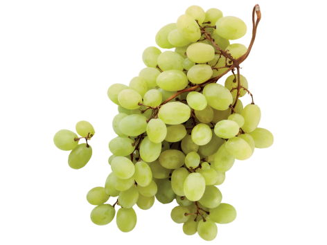 Uva di Mazzarrone IGP