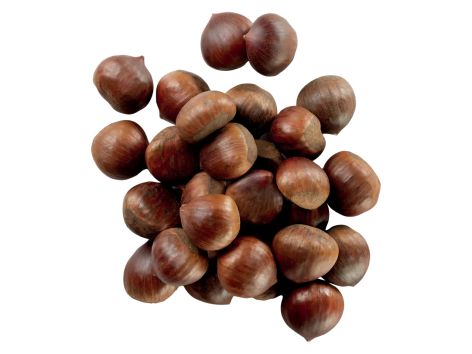 Castagne