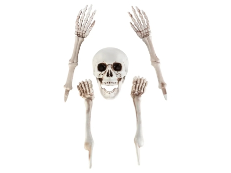 Decorazioni per Halloween