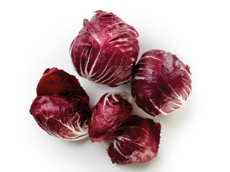 Radicchio
