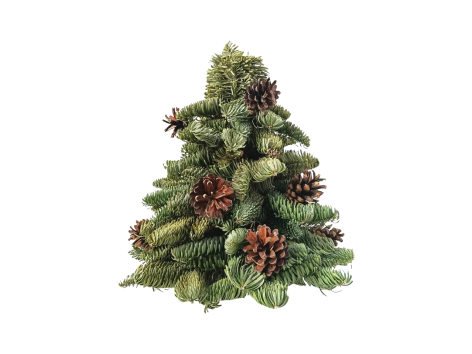 Albero di Natale