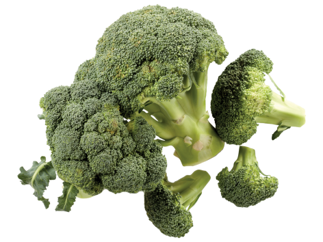 Broccoli Bio