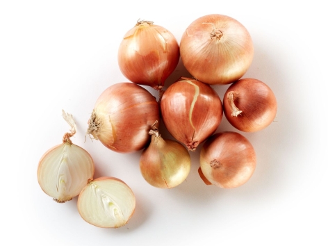 Cipolle dorate Selenella