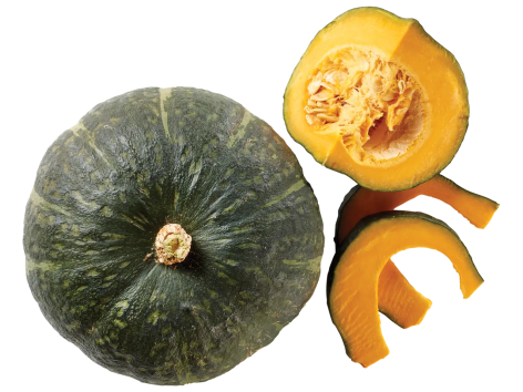 Zucca Iron Cup