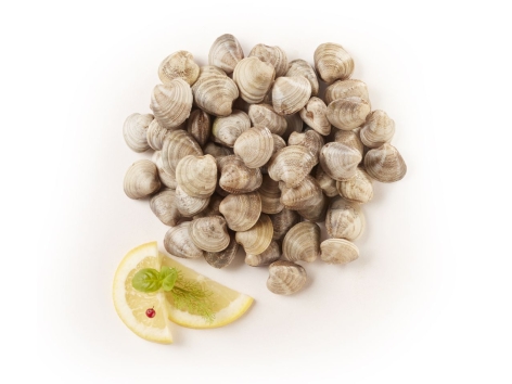 Vongole