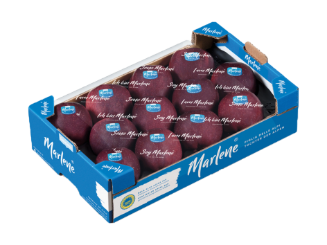 Mele red delicious igp