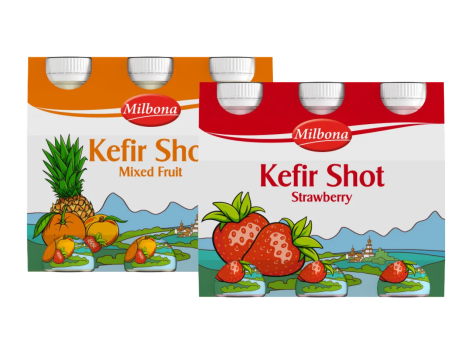 Bevanda a base di Kefir