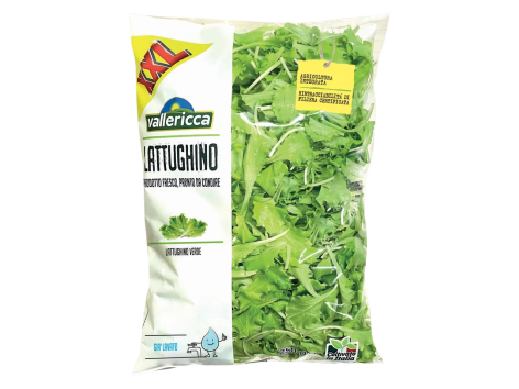 Lattughino XXL