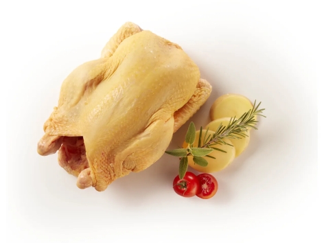 Campese pollo allevato all'aperto