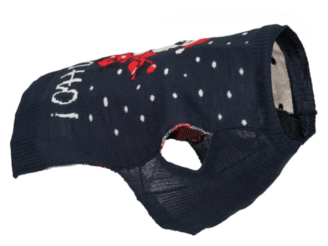 Pullover natalizio per cani