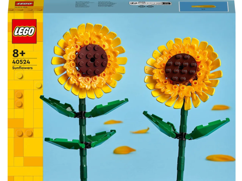 Costruzioni “fiori”