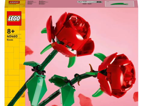 Costruzioni “fiori”